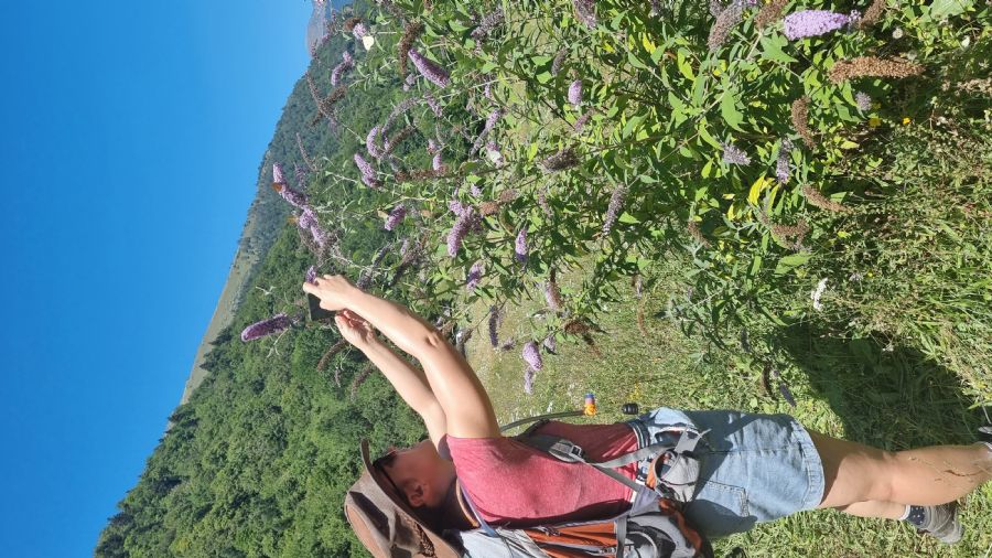 ארטיגה דה לין